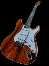 NEW EXOTIC SANTOS ROSEWOOD TOP 6 STRING COZART MODEL SOLID ELECTRIC GUITAR