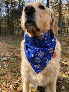 dog bandanas ebay