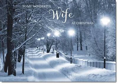 Doodlecards Wife Christmas Card Snowy Street Scene