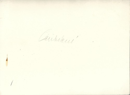 Original photo refuge "Canziani" Val d'Utimo - Passo dello Stelvio 1930s - Picture 2 of 2
