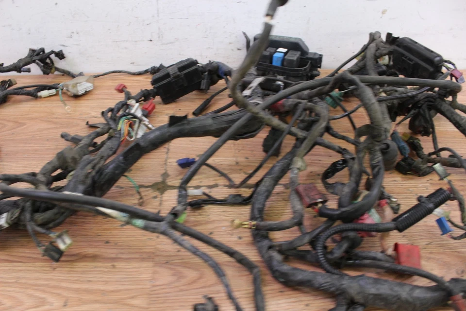 Honda Goldwing GL1500 SE 1998 chasis principal arnés de cables/cableado Foto 3 de 4