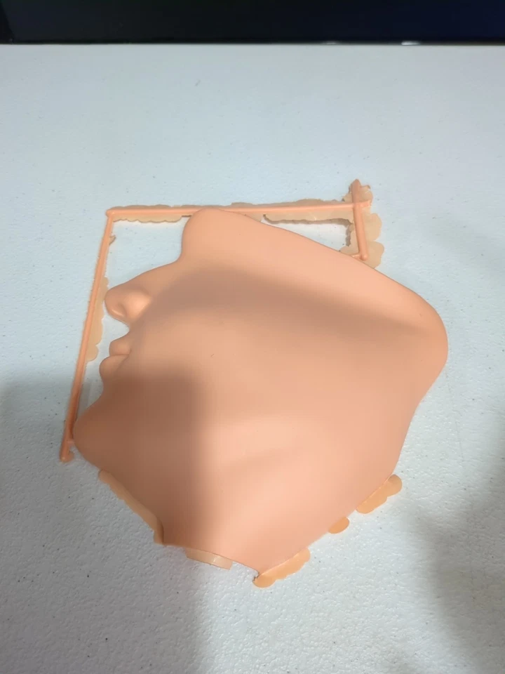 Vintage 1968 Pyro Nose Mouth Anatomy Life Size Model Kit Unassembled Complete - Image 2 of 4