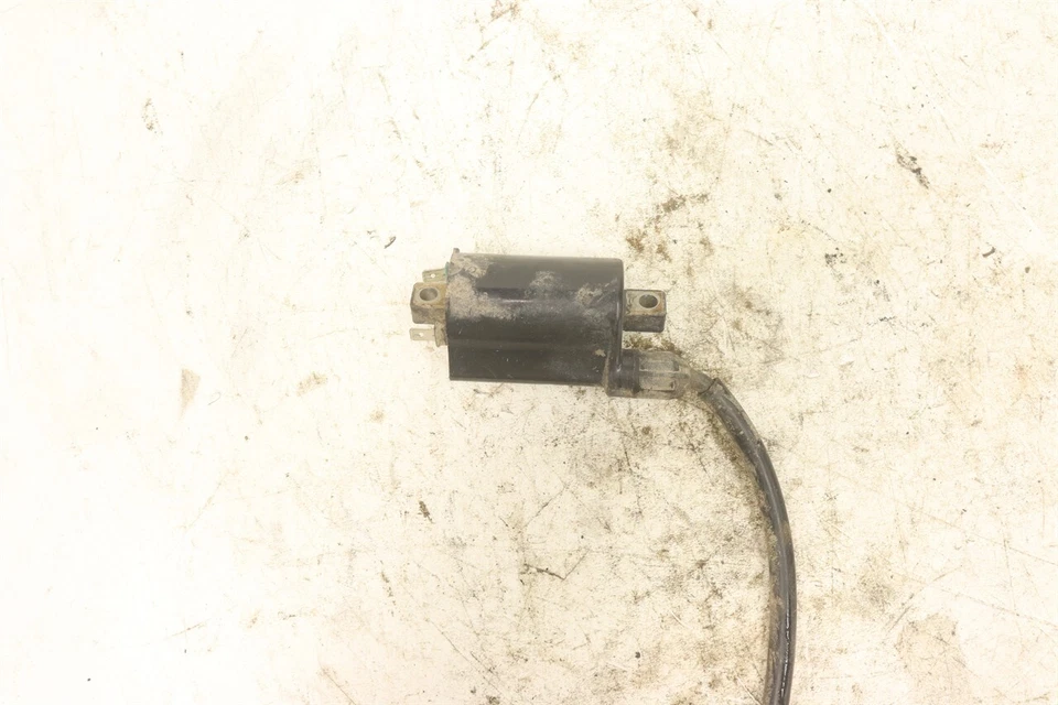 Bobina de encendido Can-Am Rally 175 05 A30500179000 38622 Foto 3 de 3