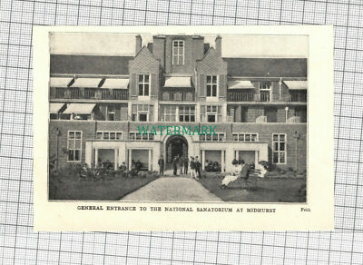 um 1810) National Sanatorium Midhurst - um 1915 Steckling