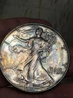 1991 AMERICAN SILVER  EAGLE 1 OZ.-BU & COLORFULLY TONED---INVESTMENT IDEA