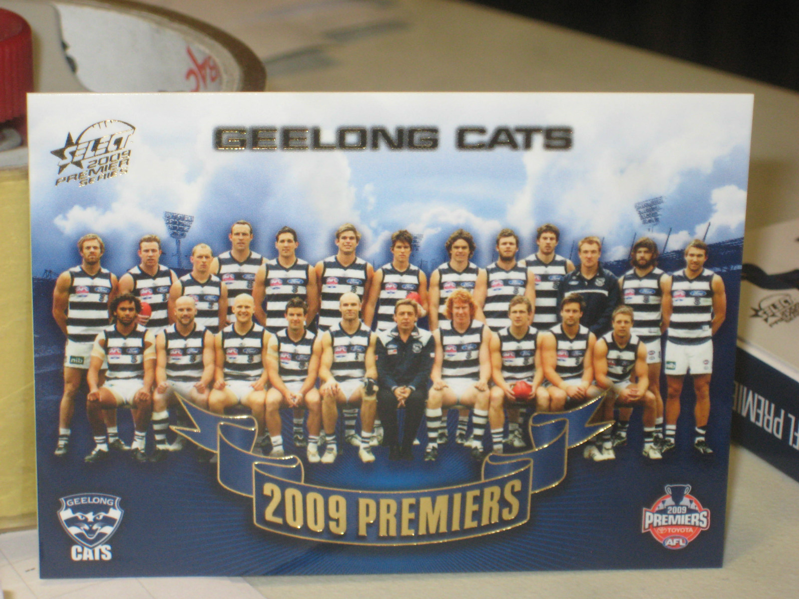 GEELONG CATS 2009 AFL PREMIERSHIP CARD SET eBay