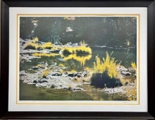 Walter William Ferguson  "Paradise Found" Hand Signed Limited  Ed Framed Art NEW