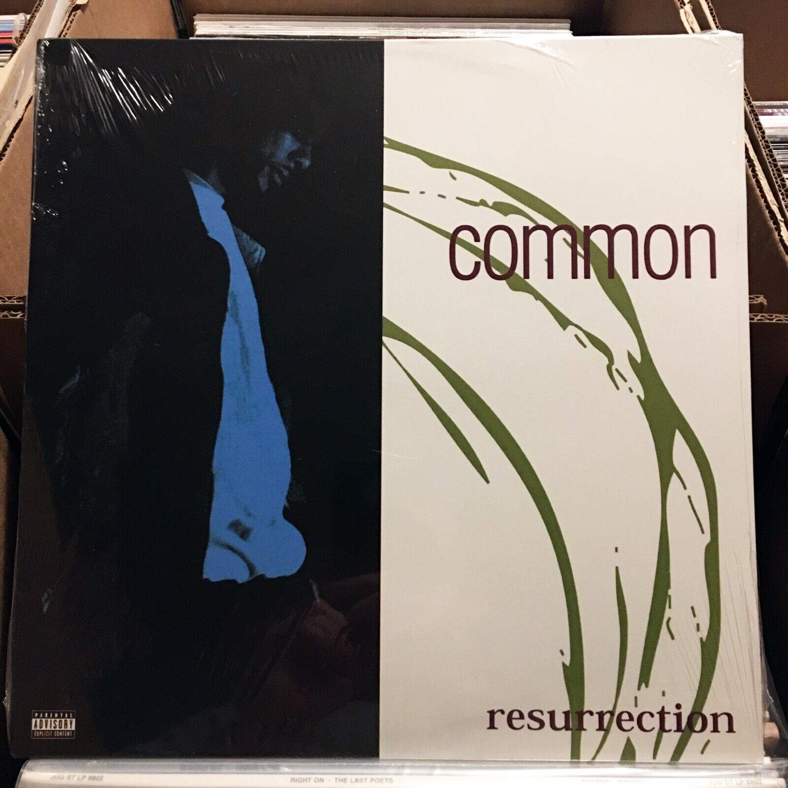 Common - Resurrection *SEALED / BRAND NEW* Vinyl Record LP Relativity Hip Hop