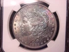 1883 MORGAN DOLLAR NGC MS 63 NICE ORIGINAL TONE COLOR POPULAR BETTER DATE PQ