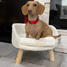 Pet Elevated Bed Fluffy Small Dog Cat Rest Sleep Stool Backrest Sofa Bed Chair