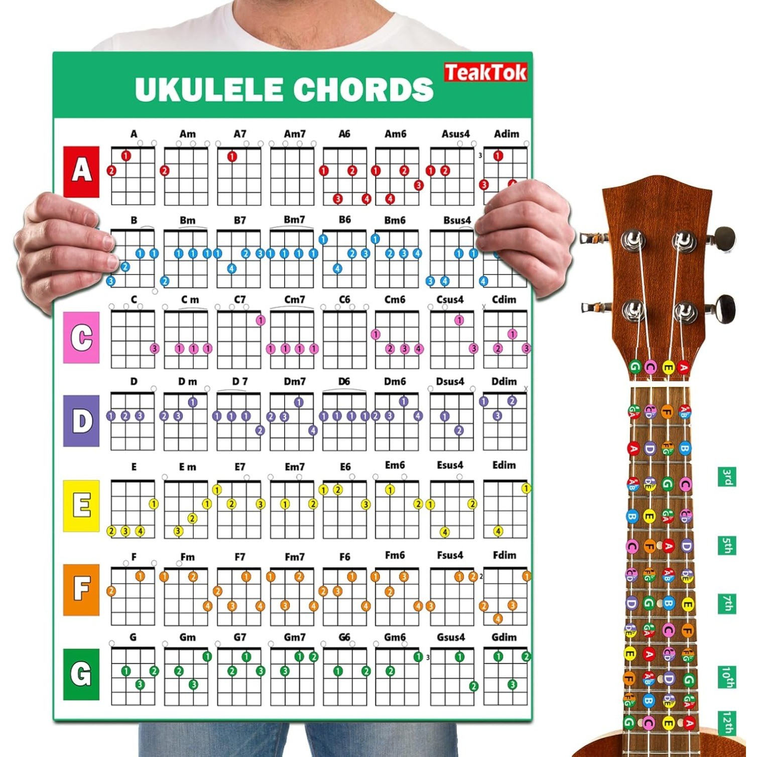 Ukulele Chord Chart Poster For Beginner And Portable A4 Laminated Chords
