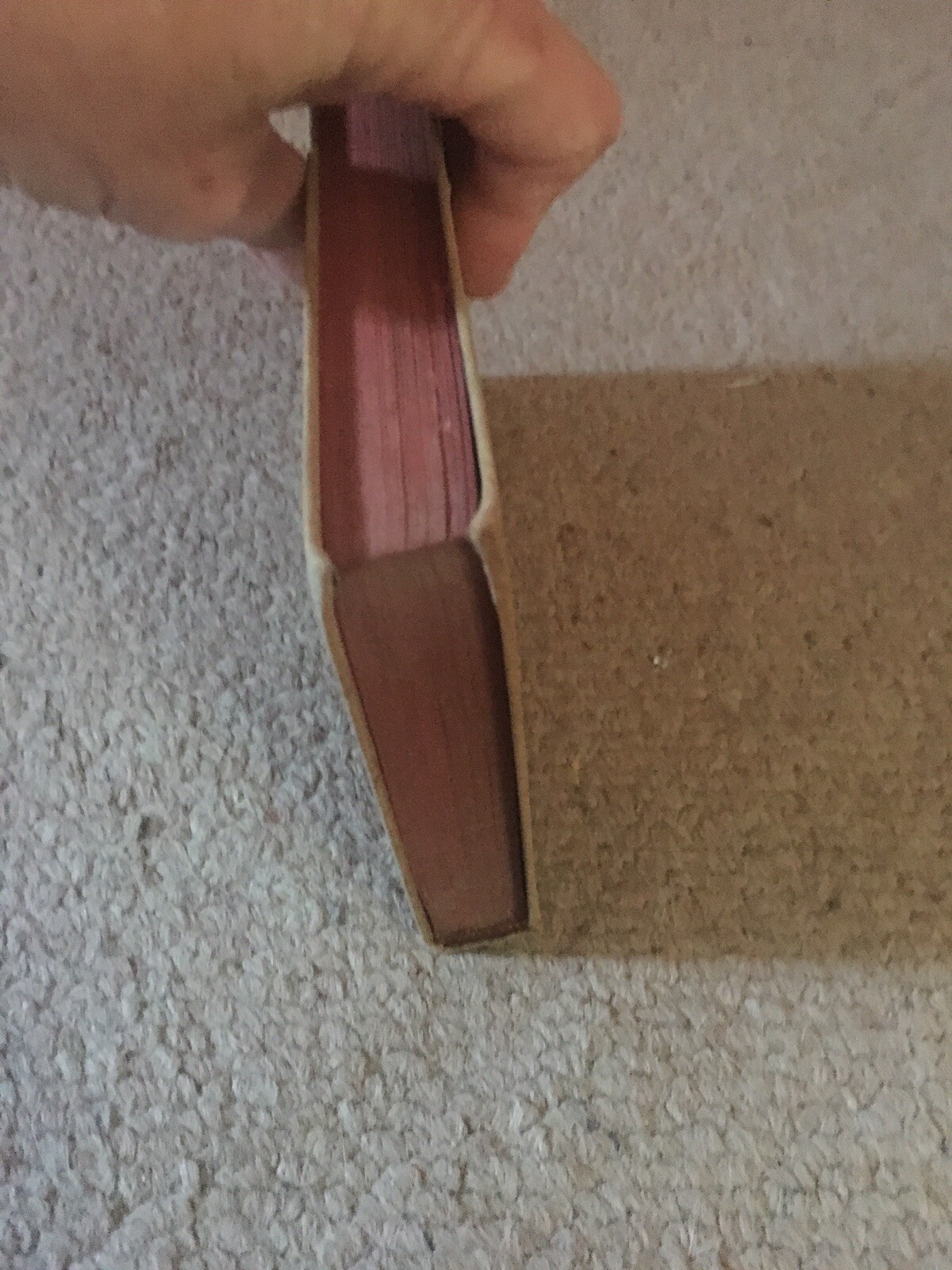 Picture 5 of 12
