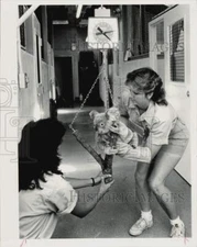 1988 Press Photo Koala Koobor Weighed by Keepers at Miami Metro Zoo - lra22688