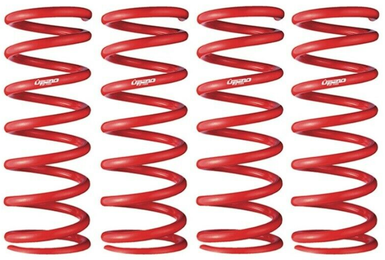 Tanabe GENUINE OEM Coil Springs UP210 for Toyota Rav4 A25A Tanabe GENUINE OEM Coil Springs UP210 for Toyota Rav4 A25A