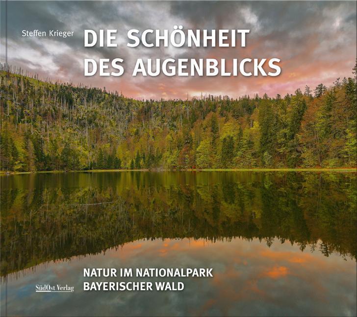 Thumbnail - Die Schönheit Des Augenblicks, Steffen Krieger