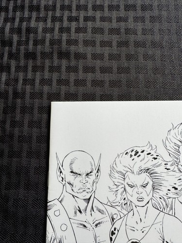 Thundercats #3 Rob Liefeld Virgin B&W 1:11 Incentive Var. (2024) Dynamit (EB004) - Bild 2 von 6