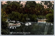 West Lake Park Los Angeles California CA Postcard Swans Ducks On Lake 1910s