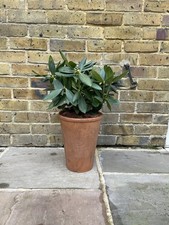 Large Vintage Terracotta Pot 23.5cm X 23.5cm X29.5cm Price Per Pot 20 available 