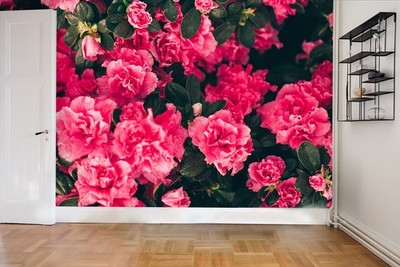 3D Red Rhododendron Plant Close-up Wall Murals Wallpaper Murals Wall Sticker