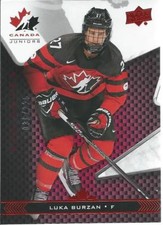 2018-19 Upper Deck UD Team Canada Juniors LUKA SURZAN #49 Exclusives 036/225