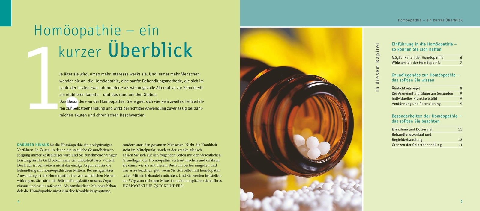 Thumbnail - Quickfinder Homöopathie Markus Wiesenauer