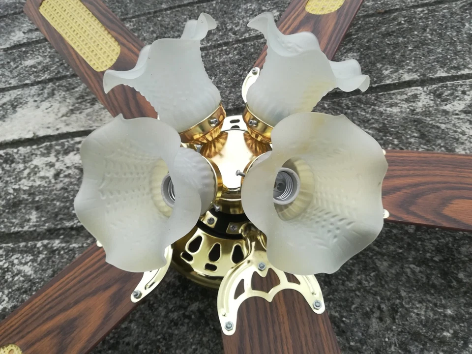 Ventilatore Howell Di Lusso  - Immagine 3 di 4