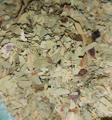Senna natürlicher Kräutertee Ruqya Qualität zerkleinerte getrocknete Blätter Cassia Makki 75g