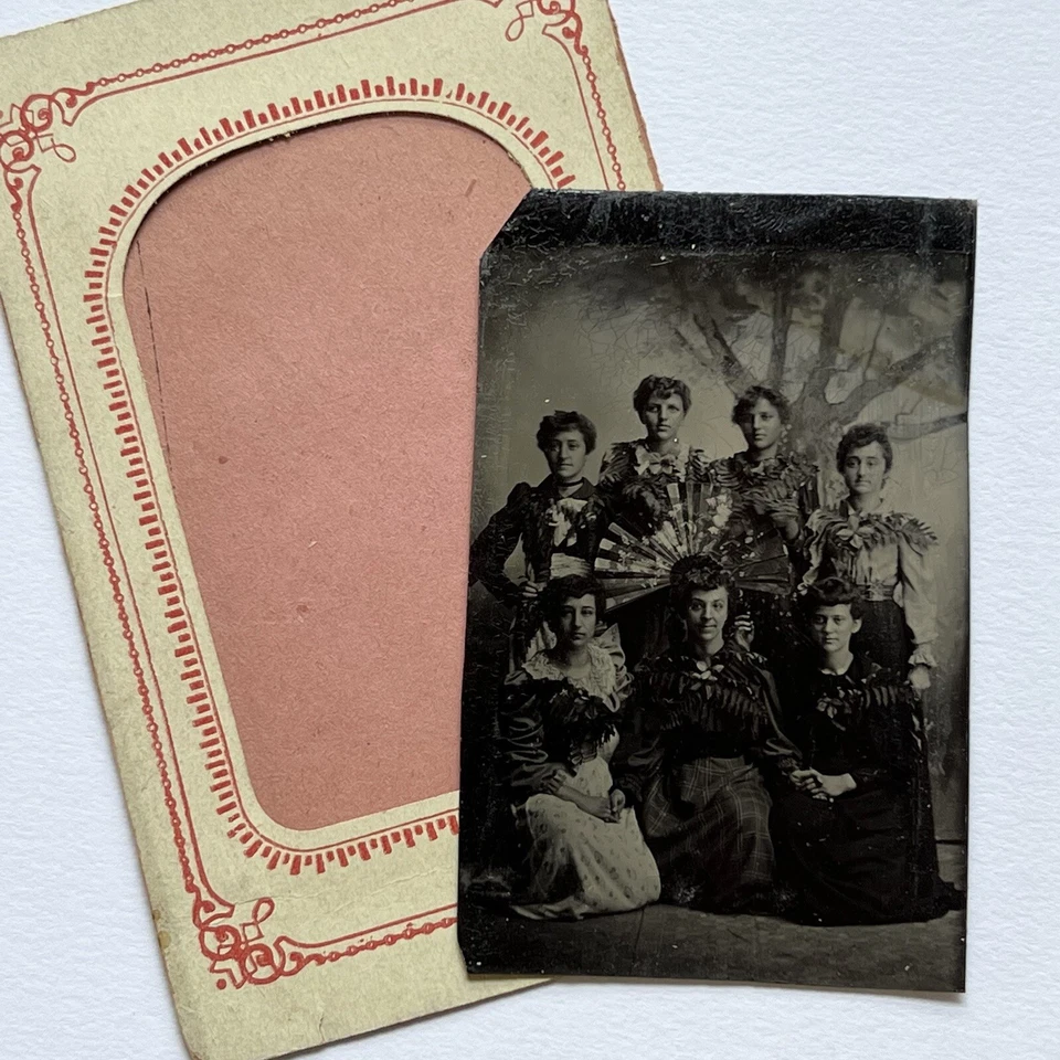 Antique Tintype Photograph Beautiful Young Women Teens Affectionate Ferns & Fan - Image 4 of 4