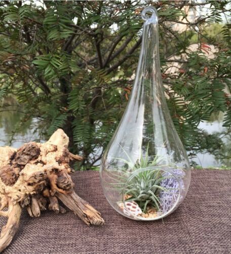 10 x 12cm LARGE Glass Hanging Tear Drop Outdoor Tealight Candle Succulent Holder - Afbeelding 1 van 10