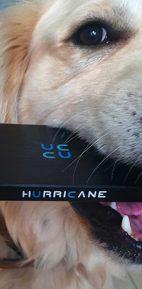 Hurricane Externe Festplatte 2,5" USB C 320GB 500GB 1TB 2TB TV Ps4 Ps5 Xbox - Bild 4 von 4