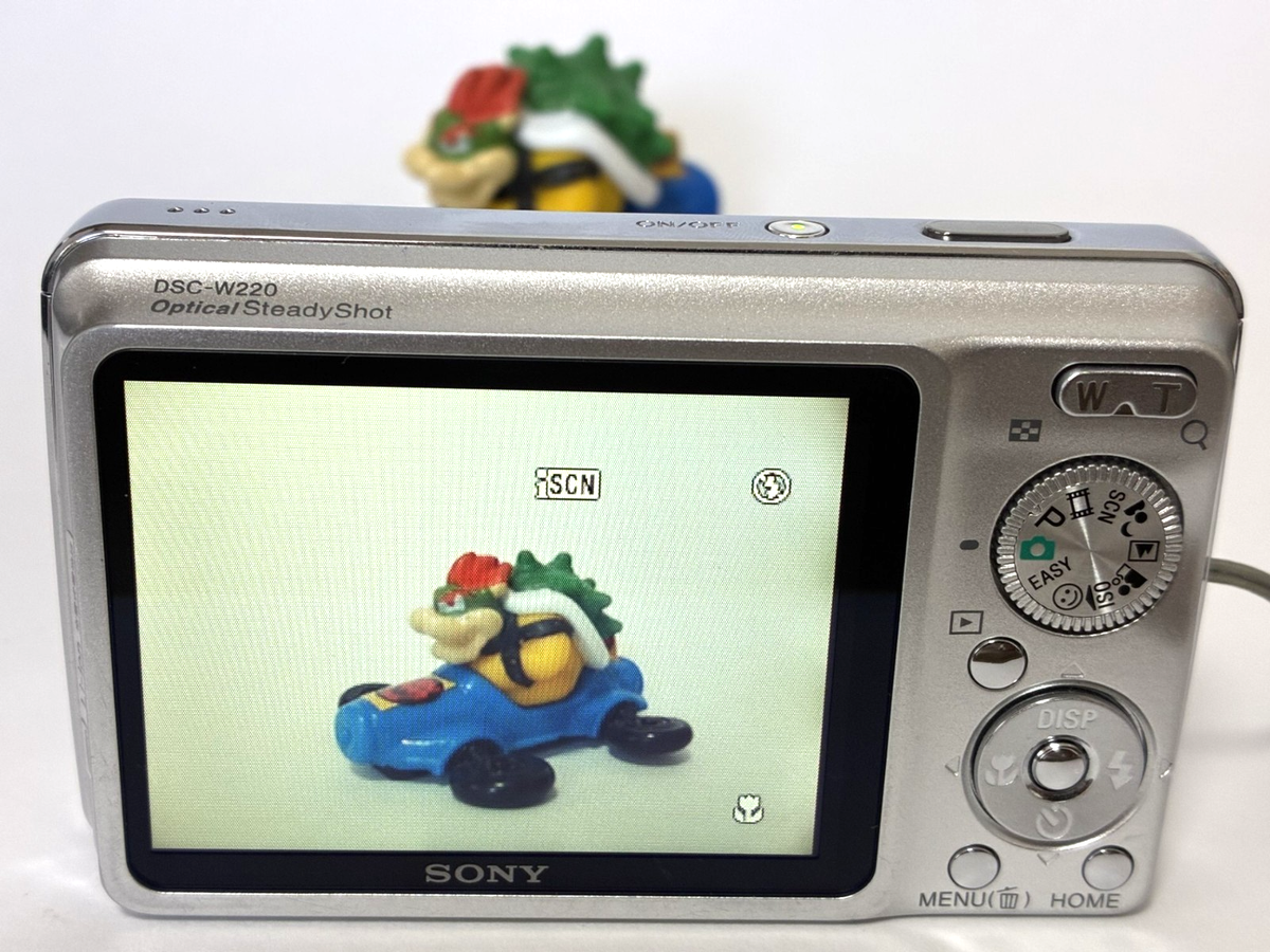 Buy Sony Cyber-shot DSC-W220 12.1MP Digital Camera - Silver online