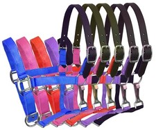2 Ply Nylon Pony Size Halter with Leather Breakaway Crown Strap