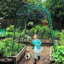 Outdoor Pea & Bean Cucumber Frame Support Bird Netting Garden Climbing Plant Kit