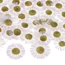 60-Pack Dried Pressed Flowers for Resin, Real Natural Dry Floral White 