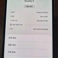 Samsung Galaxy Buddy 3 Smartphone - Silver, Used 1 Year