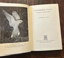 Rare 1953 UK: Feathered Wings; A Study of the Flight of Birds By Anthony Jack HC