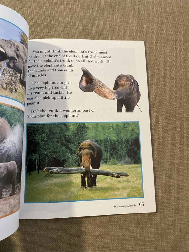 # Abeka Discovering God's World Textbook Fourth Edition Science Reader - Image 3 of 4