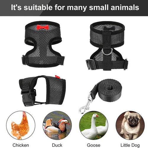 Chicken Harness And Leash Adjustable Small Pets Vest Duck Harness With Leash - Picture 6 of 13