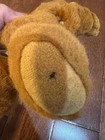 Bild 7 von 11