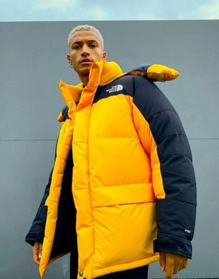 The North Face Men's MED 94 Retro Himalayan 700-Down Insulated