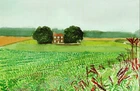Postcard David Hockney "The Red House, Midsummer, East Yorkshire" 2004 MINT