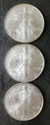 2005, 2006, and 2006 $1 American Silver Eagle Dollars