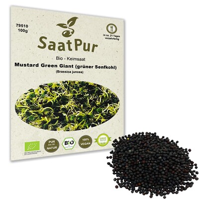 100g BIO Keimsaat für Sprossen Senf Mustard Green Giant Samen Keimsprossen Vegan