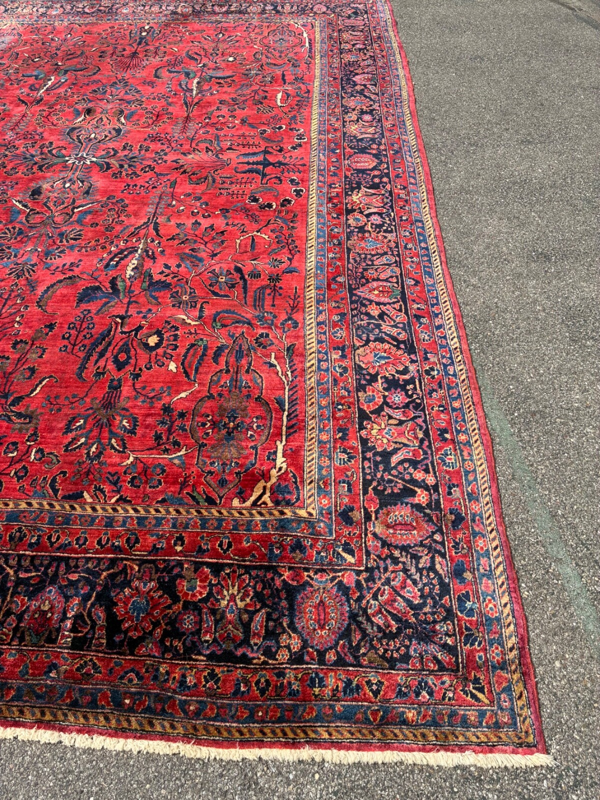 Picture 8 of 16