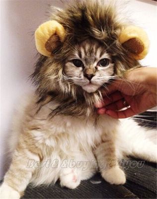 Chat Perruque De Criniere De Lion Animal De Compagnie Deguisement Vetements Ebay