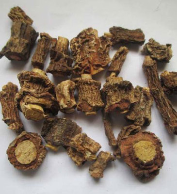 Anantmul Indian Sarsaparilla Sariva Arkaparni Uppalsri Nannari WHOLE FREESHIP
