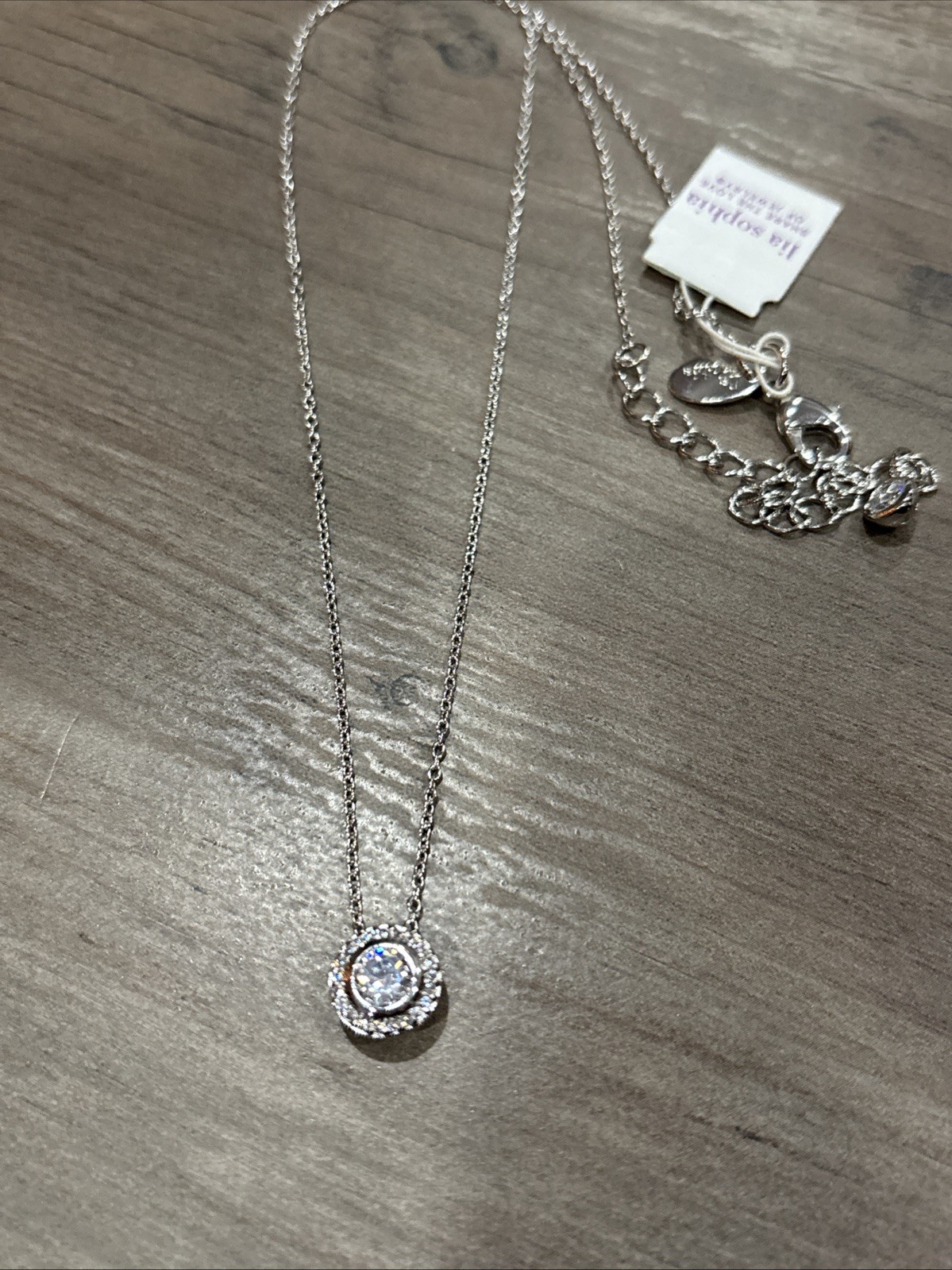 Lia Sophia Silver tone With Crystal Halo Pendant