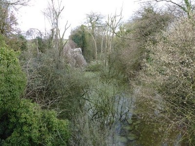 Photo 6x4 Disused Hereford and Gloucester Canal Ashperton The long defunc c2017