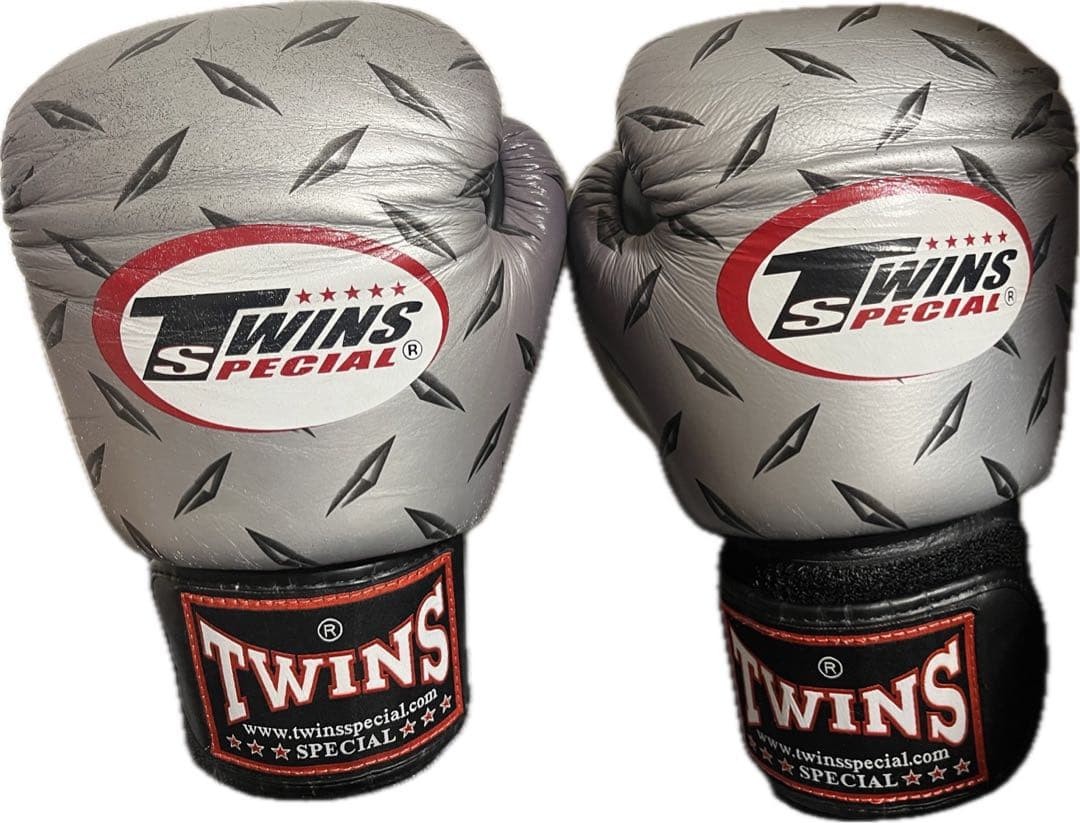 Twins Special Boxing Gloves 10oz Silver Gradient Leather Hook