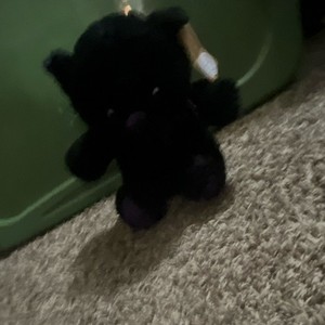 Black Bear Plush Stuffed Animal, Black/Purple with Purple Accents, With Tag